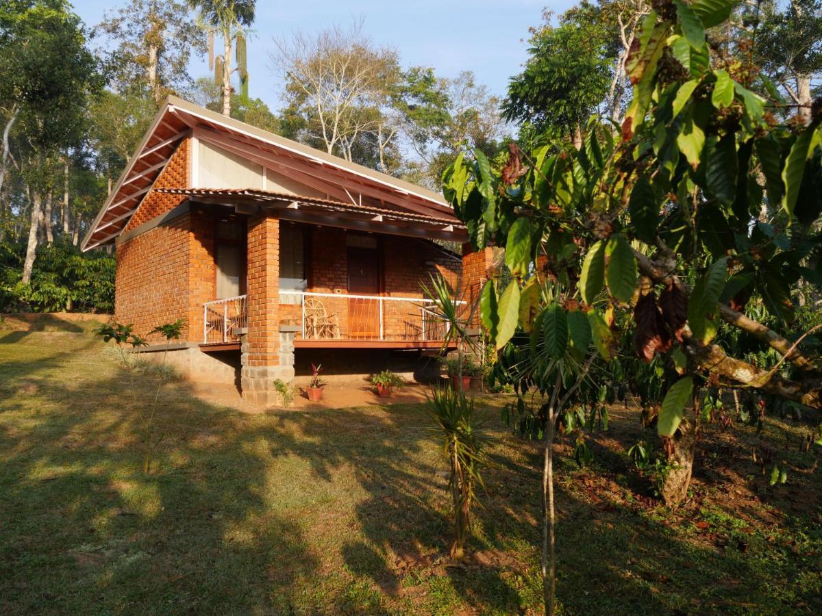 Estate Stay - Riverside Coffee Siddapura  Exterior photo